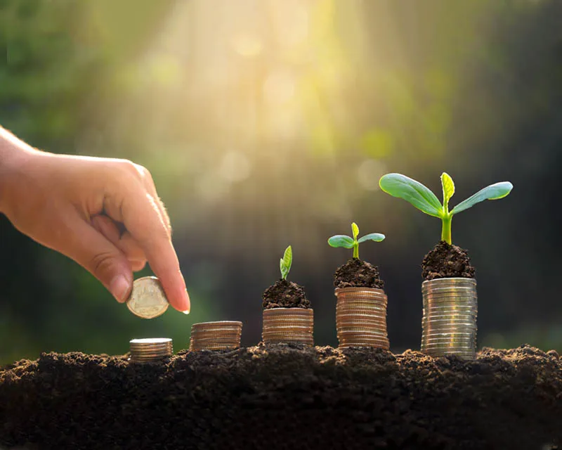 مركز الإمام البخاري للعلوم الشرعية والقرآن الكريم